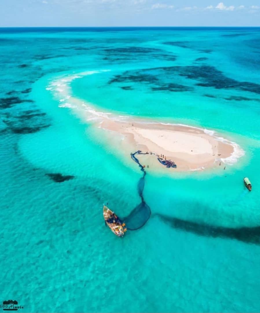 SAFARI BLUE SEA ADVENTURE