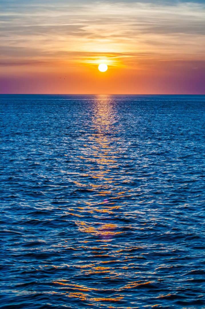 SUNSET DHOW CRUISE