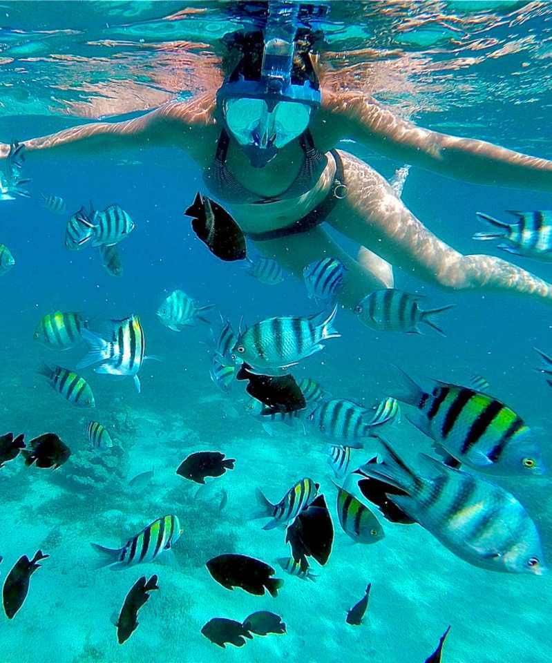 SNOCKLING MNEMBA ISLAND